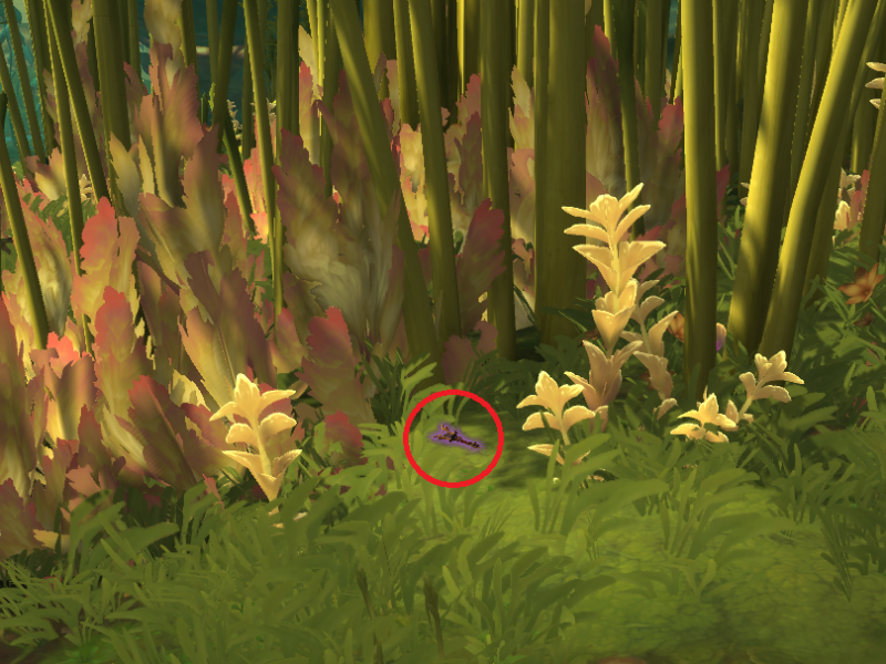 Ersatzexpeditionsfackel