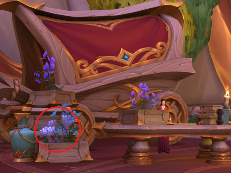 Frisch gepflückte Friedensblume